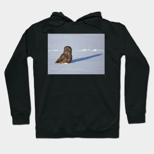 Great Grey Owl casts a long shadow Hoodie